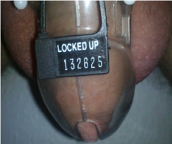 chastity with lock 04-10-2012.jpg